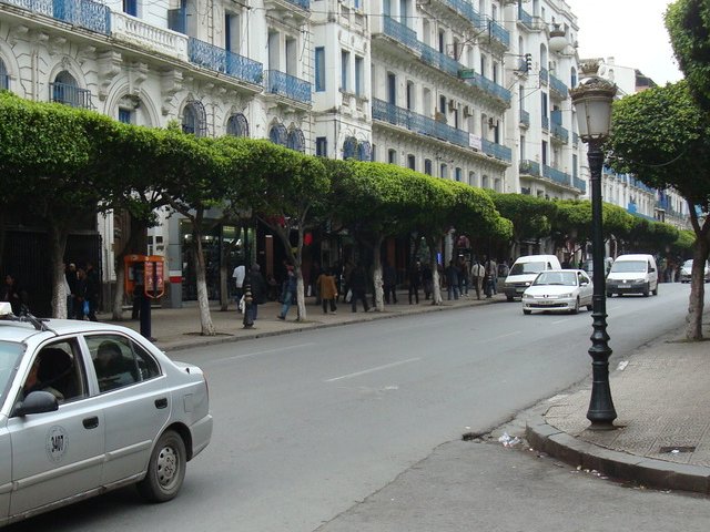 Dz_Alger80.Jpg