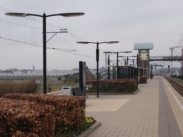 NL_Lisse12.jpg
